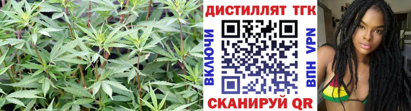 как найти наркотики  Сергач  ТГК гашишное масло 