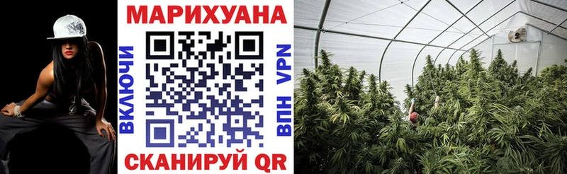 Канабис SATIVA & INDICA  продажа наркотиков  Сергач 